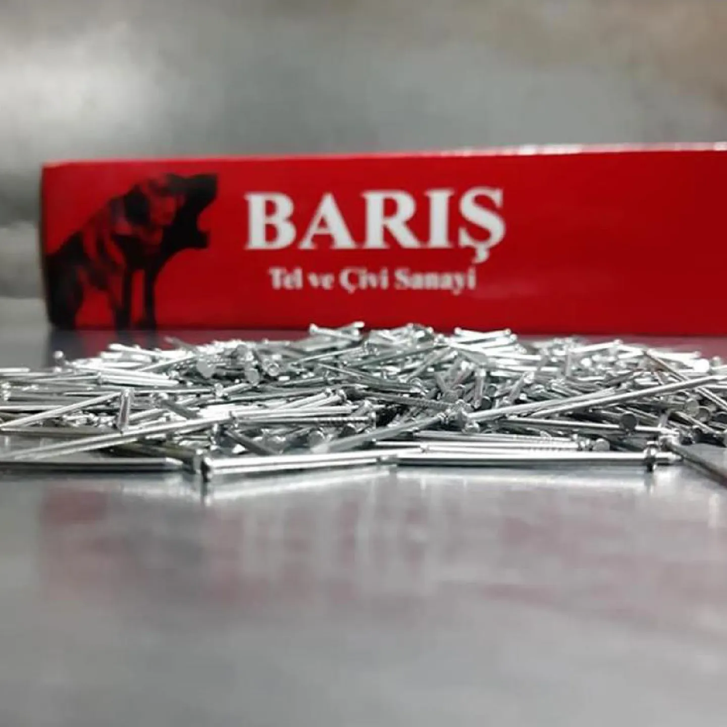 6/22 Barış Çivi