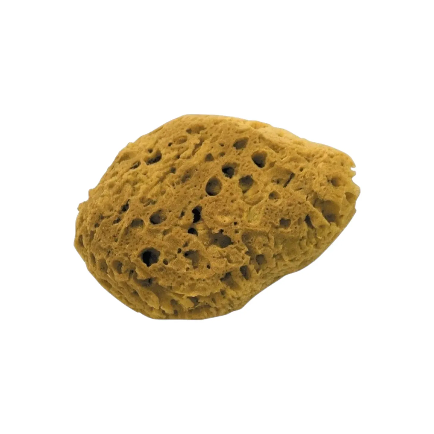 Deiz Sponge